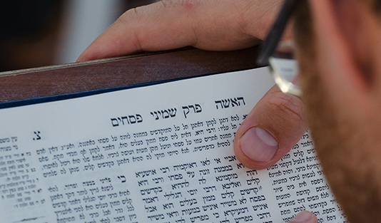 man studying gemara